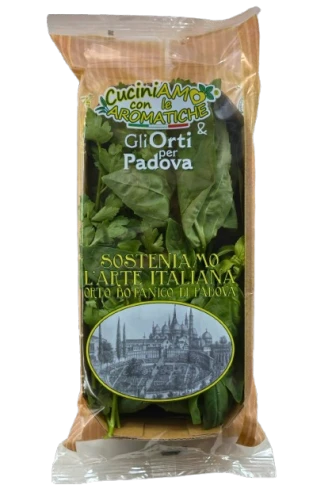 Copyofbasilicoprezzemoloortiperpadova-removebg-preview.png