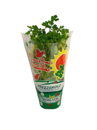 Prezzemolopiantasoleverde-removebg-preview.png