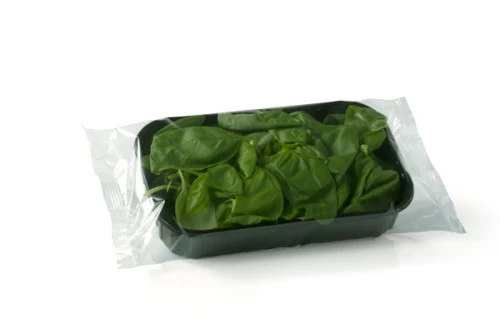 basilico-vaschetta.jpg