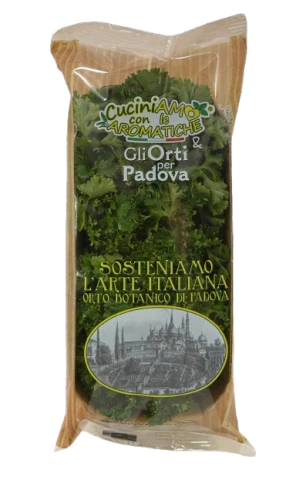 cipollinaorti-removebg-preview.png