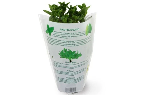 menta-retro.jpg