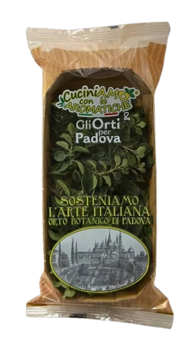 origanoorti-removebg-preview.png