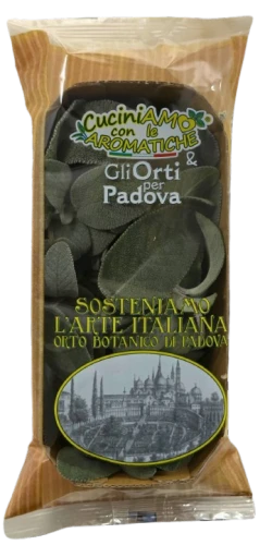 salvialargaortiperpadova-removebg-preview.png