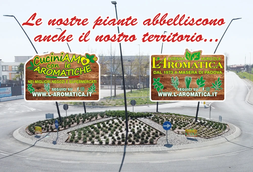 rotonda-aromatica.jpg